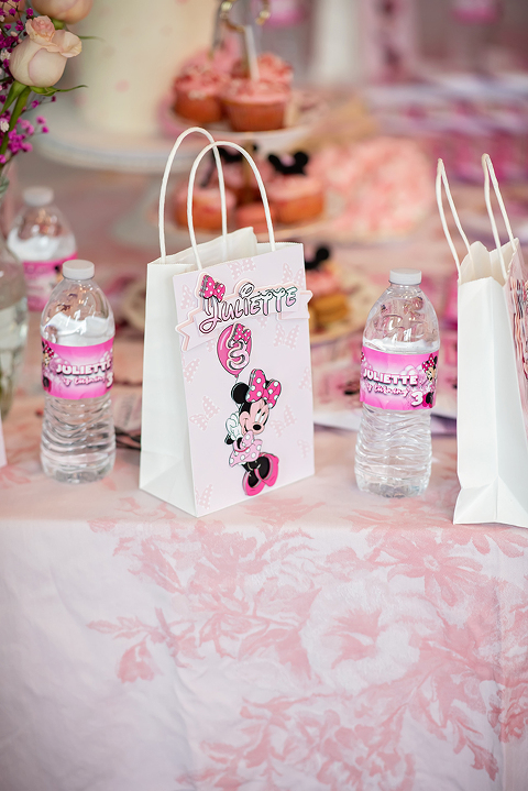 Mini Mouse Themed Birthday Party