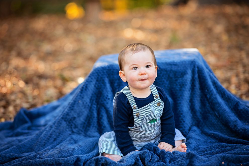 family portraits with your dog