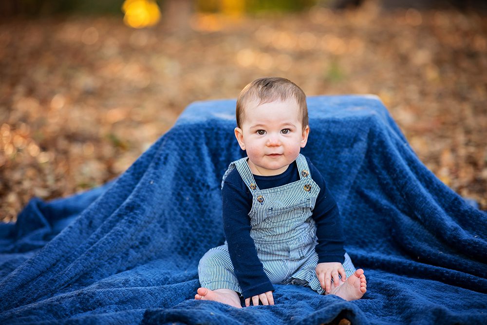 family portraits with your dog