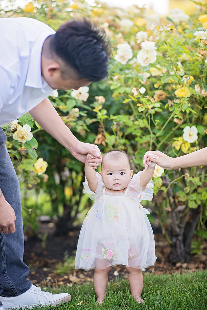 6th Month Baby Family Portraits At The Municipal Rose Garden