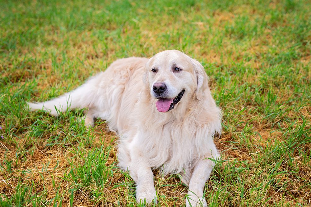 Morning Family Portraits at Bernal Ranch Park