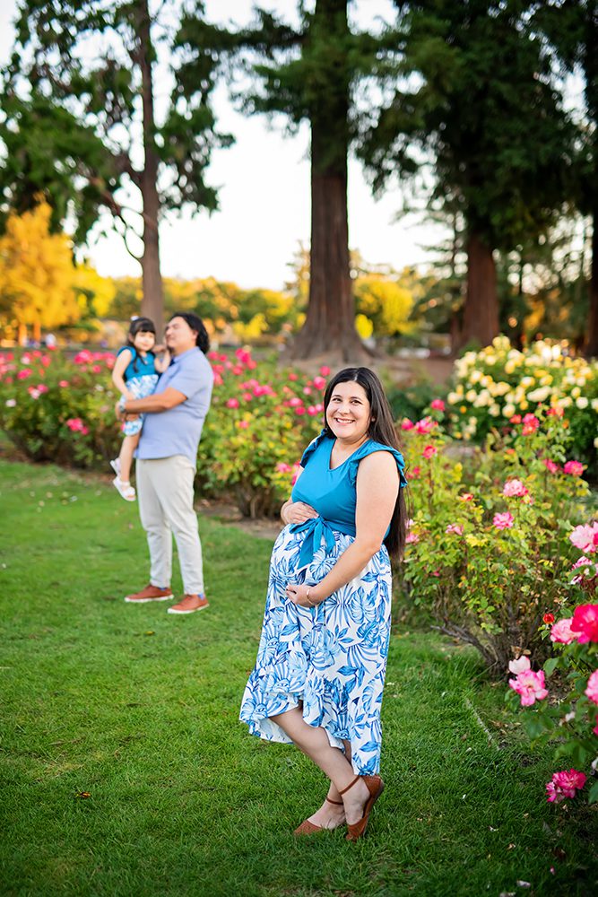 sunset maternity portraits at the Municipal Rose Garden