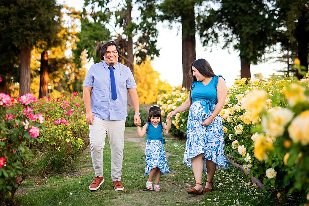 sunset maternity portraits at the Municipal Rose Garden