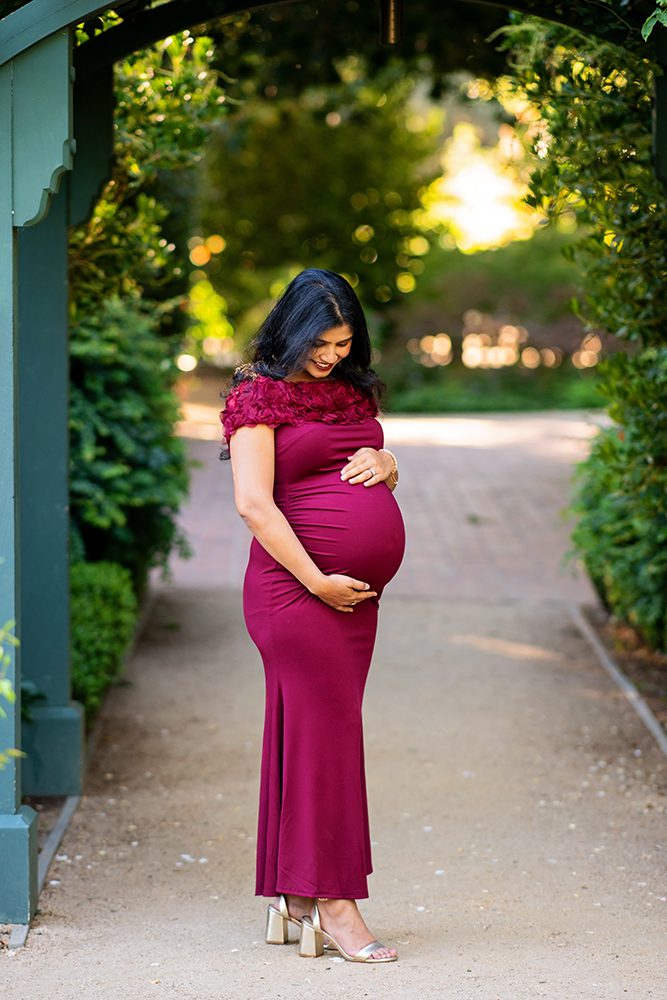evening maternity pictures at the Elizabeth Gamble Garden