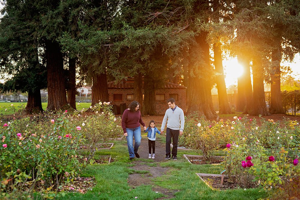 Sunset Family Portraits at the Municipal Rose Garden