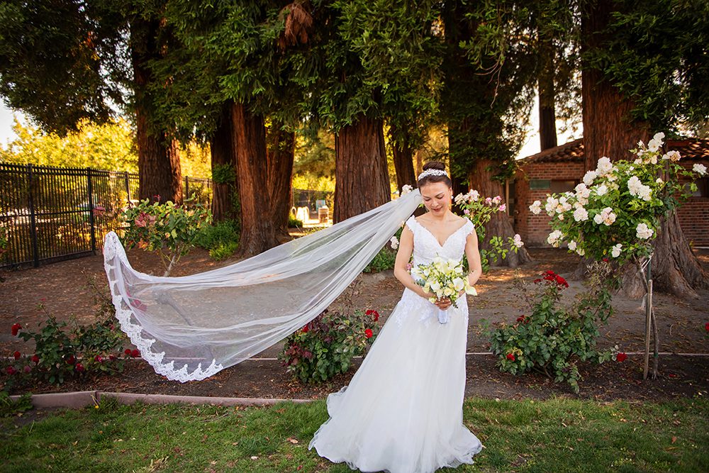Wedding Portraits at the Municipal Rose Garden