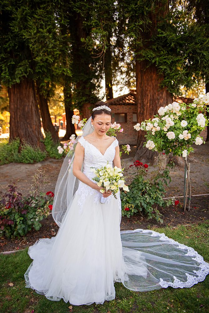 Wedding Portraits at the Municipal Rose Garden