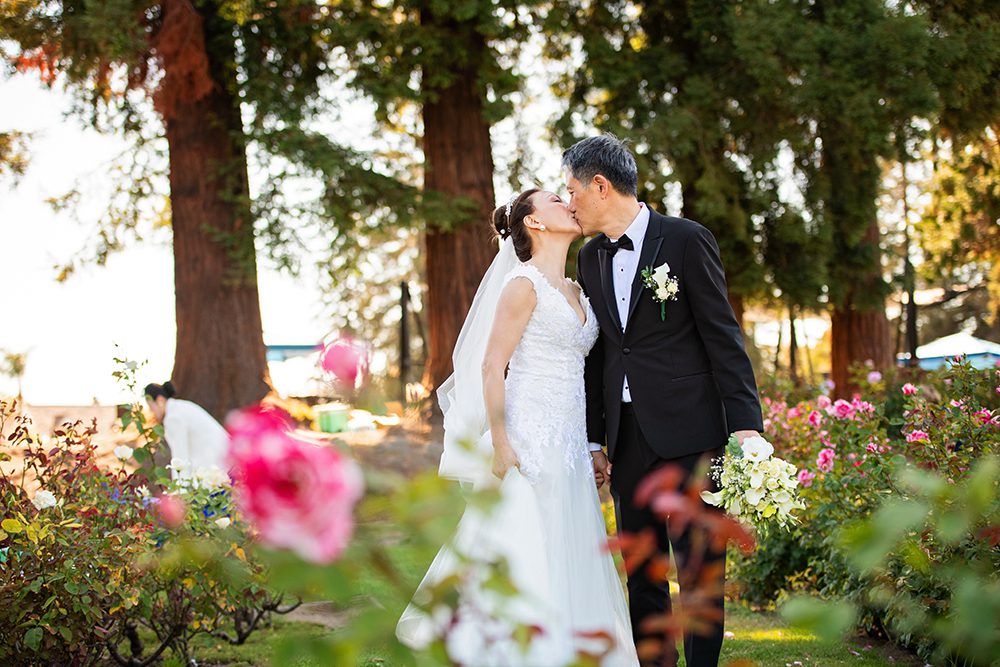 Wedding Portraits at the Municipal Rose Garden