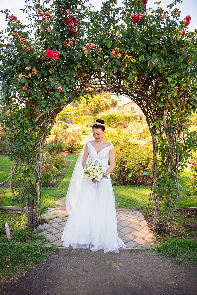 Wedding Portraits at the Municipal Rose Garden