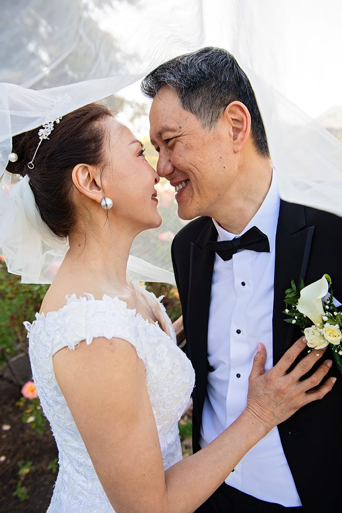 Wedding Portraits at the Municipal Rose Garden
