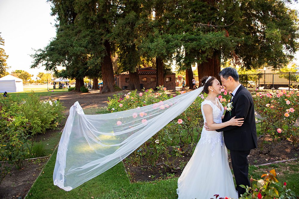 Wedding Portraits at the Municipal Rose Garden